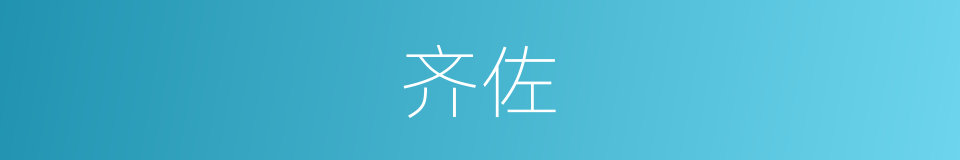 齐佐的同义词