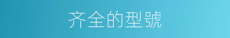 齐全的型號的同義詞