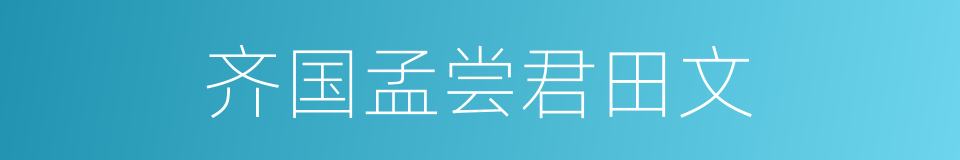 齐国孟尝君田文的同义词