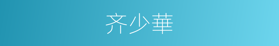 齐少華的同義詞