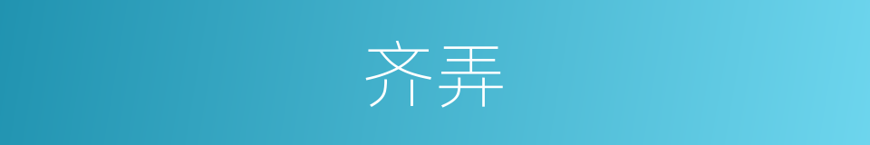 齐弄的同义词