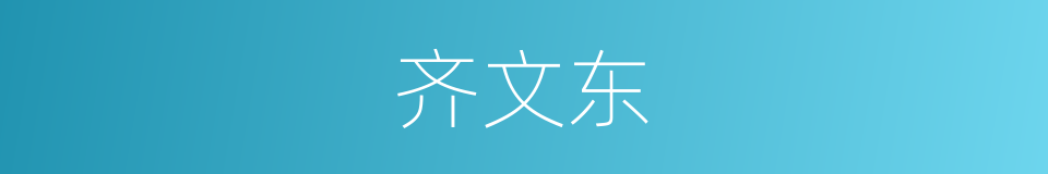 齐文东的同义词