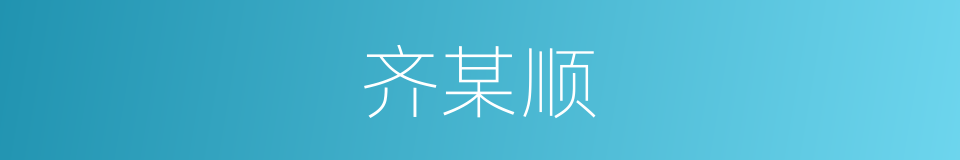 齐某顺的同义词