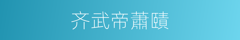 齐武帝蕭賾的同義詞