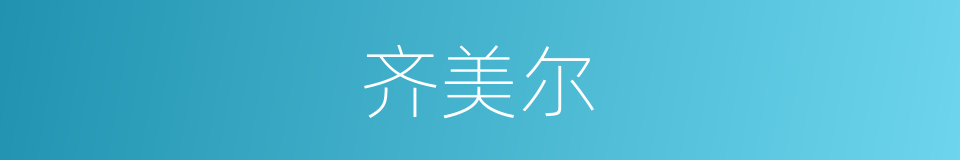 齐美尔的同义词
