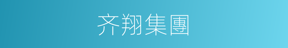 齐翔集團的同義詞