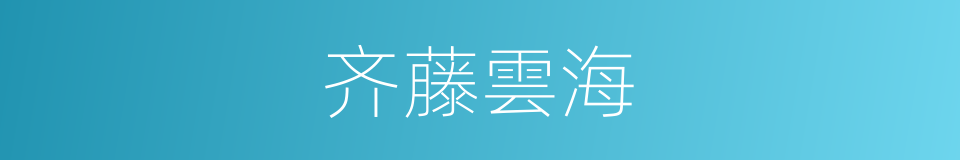 齐藤雲海的同義詞
