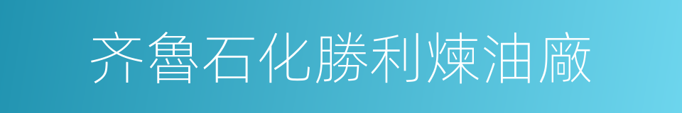 齐魯石化勝利煉油廠的同義詞