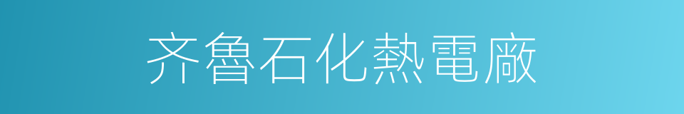 齐魯石化熱電廠的同義詞