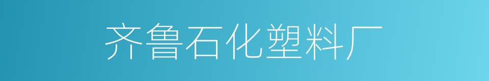 齐鲁石化塑料厂的同义词