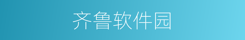 齐鲁软件园的同义词