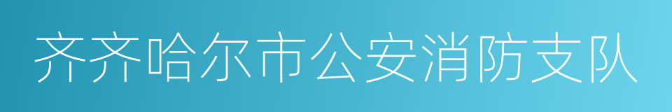 齐齐哈尔市公安消防支队的同义词