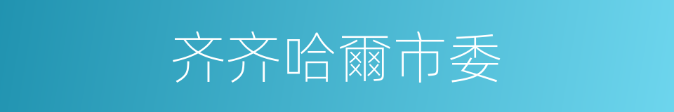 齐齐哈爾市委的同義詞