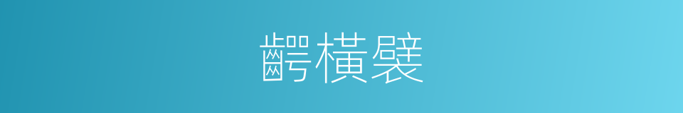 齶橫襞的同義詞