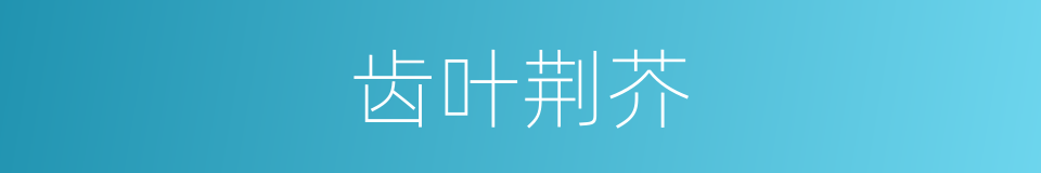 齿叶荆芥的同义词