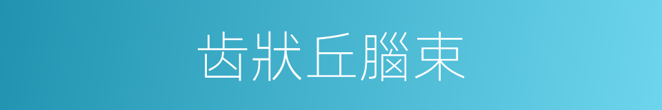 齿狀丘腦束的同義詞