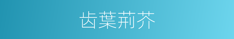 齿葉荊芥的同義詞