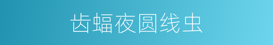 齿蝠夜圆线虫的同义词