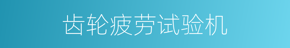 齿轮疲劳试验机的同义词