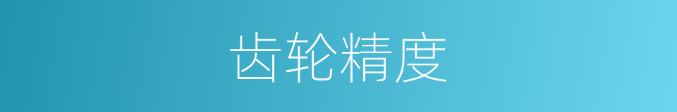 齿轮精度的同义词