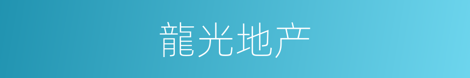 龍光地产的同義詞