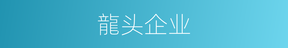 龍头企业的同義詞