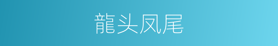 龍头凤尾的同義詞