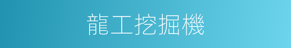 龍工挖掘機的同義詞
