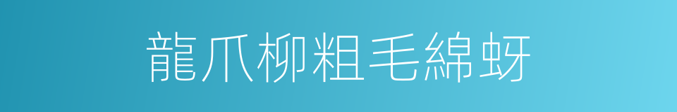 龍爪柳粗毛綿蚜的同義詞