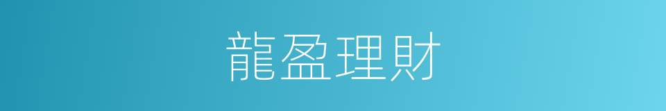 龍盈理財的同義詞