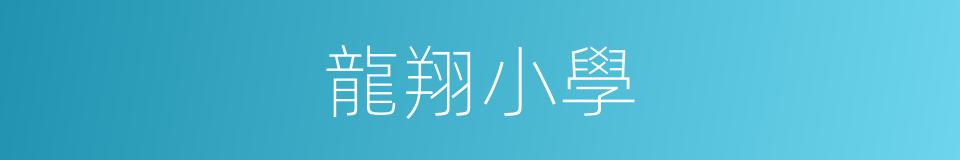 龍翔小學的同義詞