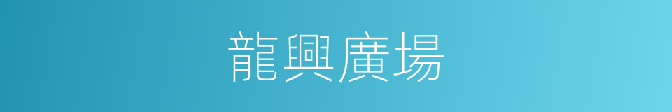 龍興廣場的同義詞