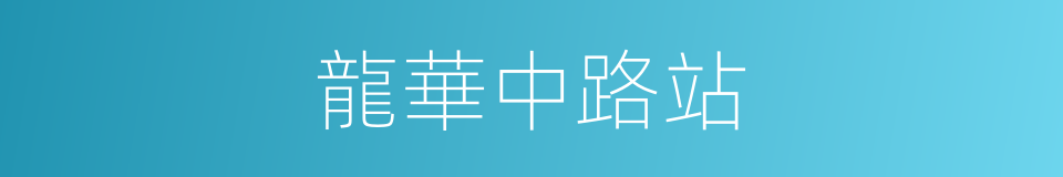 龍華中路站的同義詞