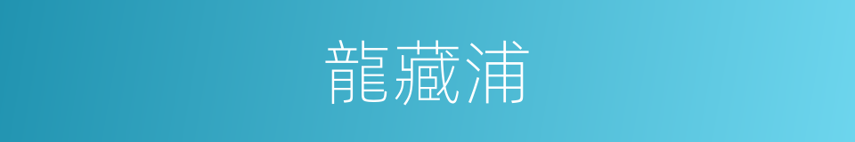 龍藏浦的同義詞