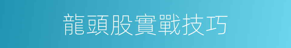 龍頭股實戰技巧的同義詞