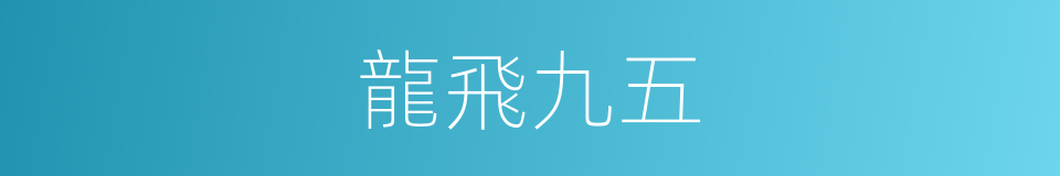 龍飛九五的意思
