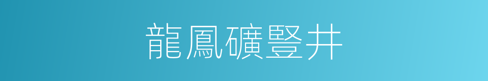 龍鳳礦豎井的同義詞