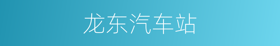 龙东汽车站的同义词