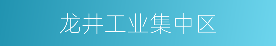 龙井工业集中区的同义词