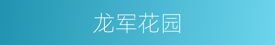 龙军花园的同义词