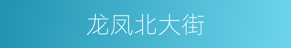 龙凤北大街的同义词