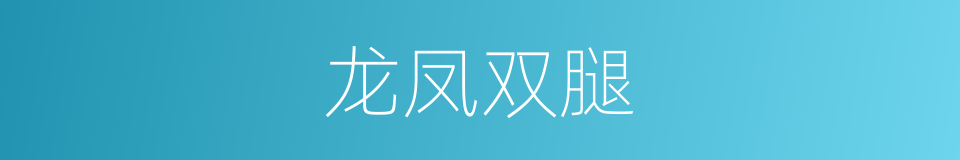 龙凤双腿的同义词