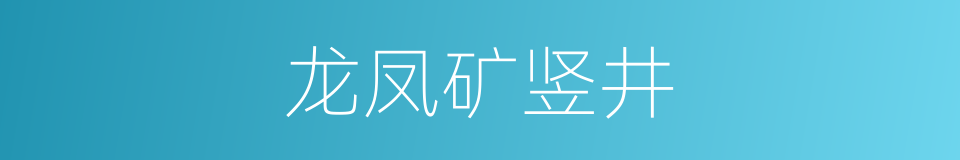 龙凤矿竖井的同义词