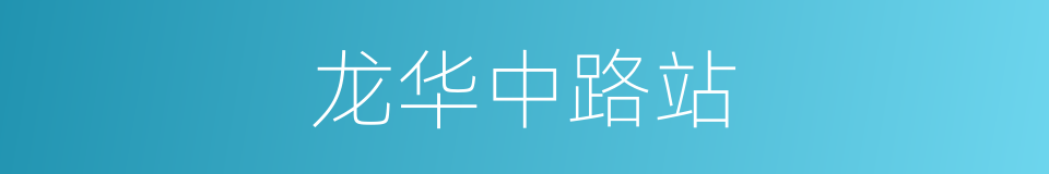 龙华中路站的同义词