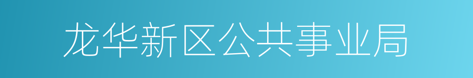 龙华新区公共事业局的同义词