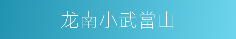 龙南小武當山的同義詞