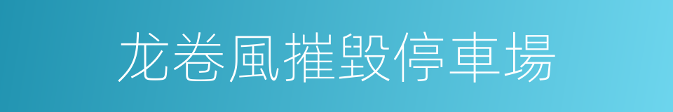 龙卷風摧毀停車場的同義詞