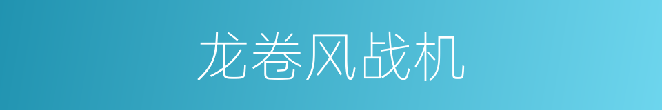 龙卷风战机的同义词