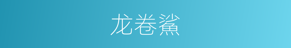 龙卷鯊的同義詞