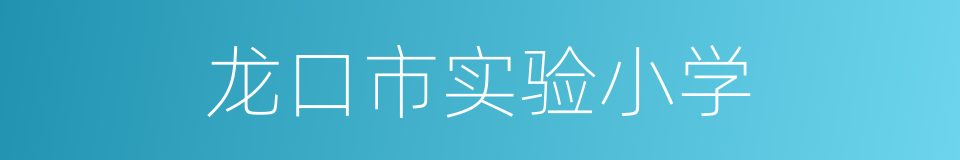 龙口市实验小学的同义词